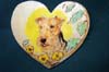 WelshTerrierMagnet1