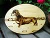 DachshundPlaque1