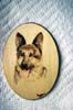 GermanShepherdPlaque1